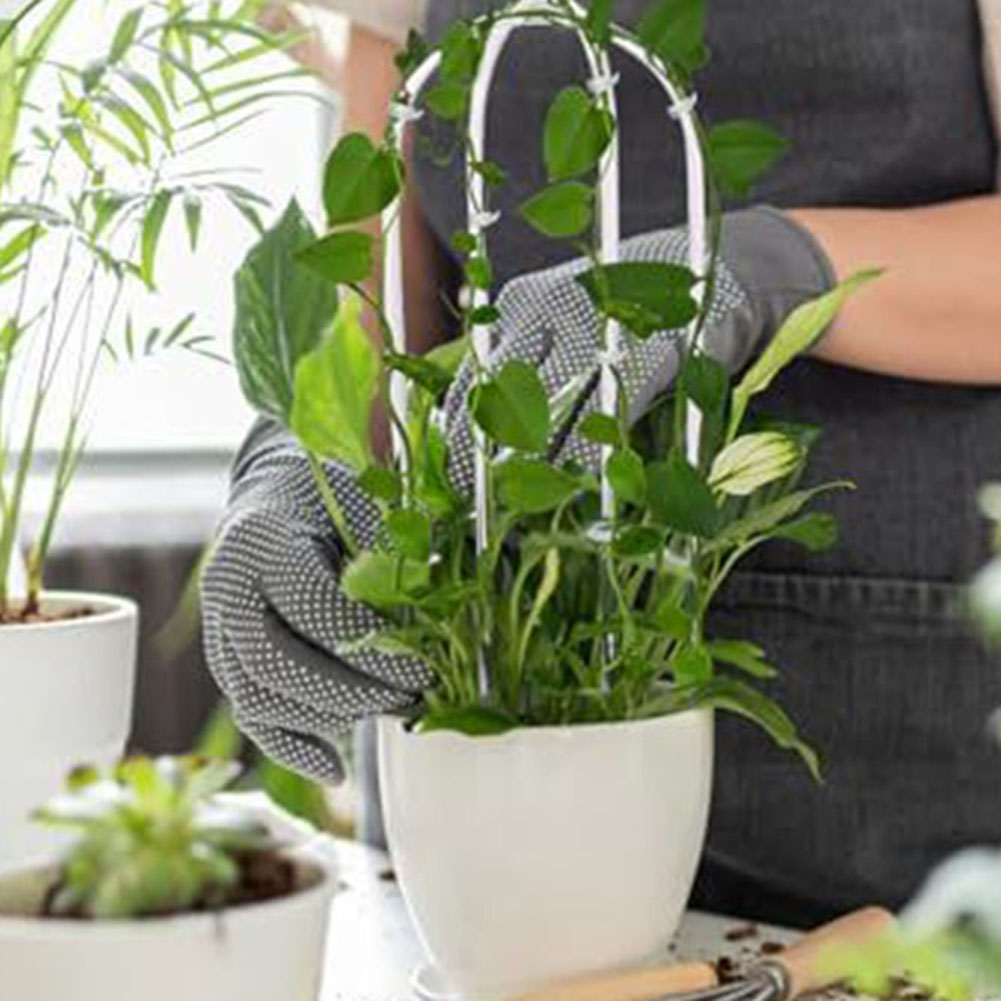 2pcs Acrylic U-shaped Plant Ra - Indoor Herb Garden review and price