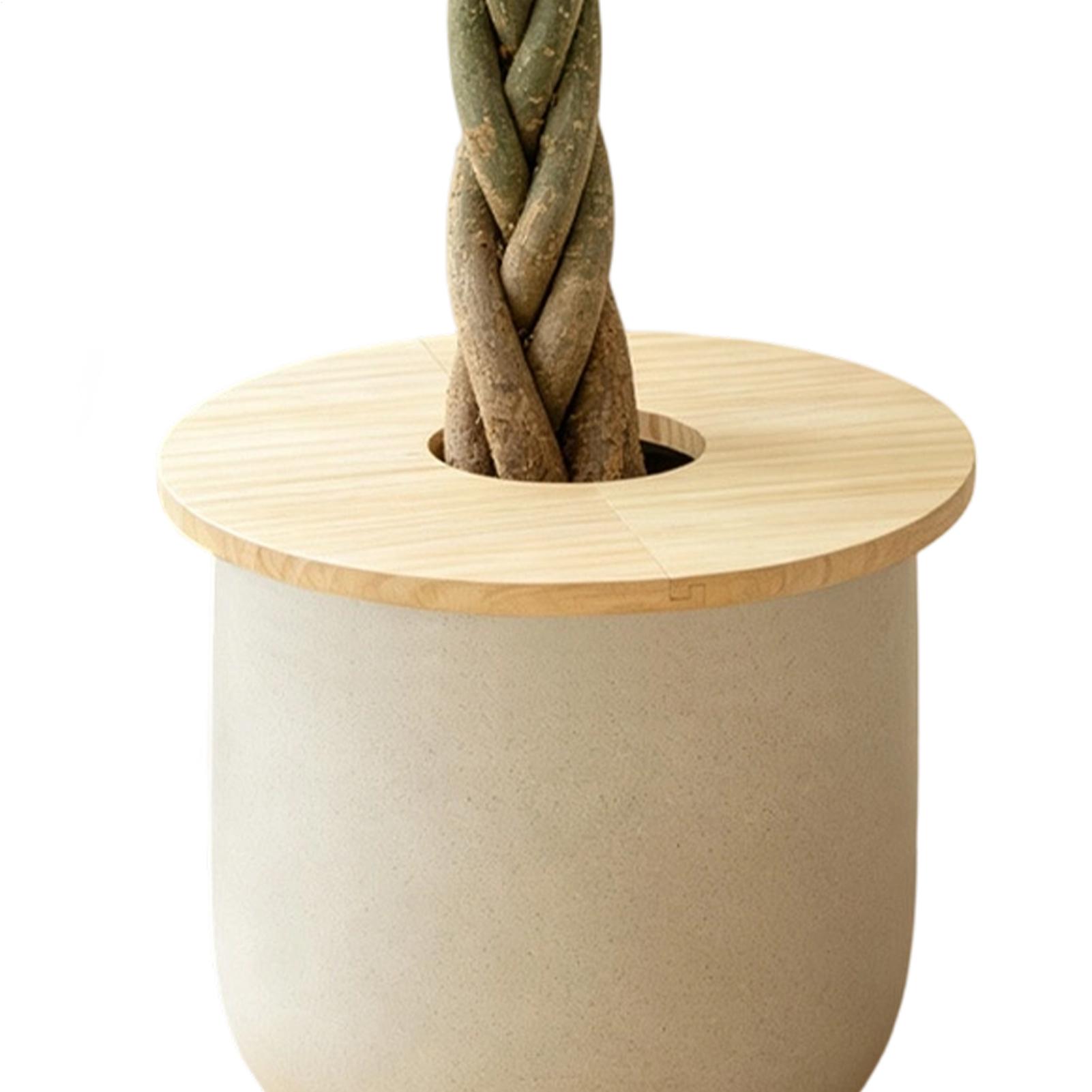 Flower Pot Covers Wooden Split - Indoor Herb Garden review and price