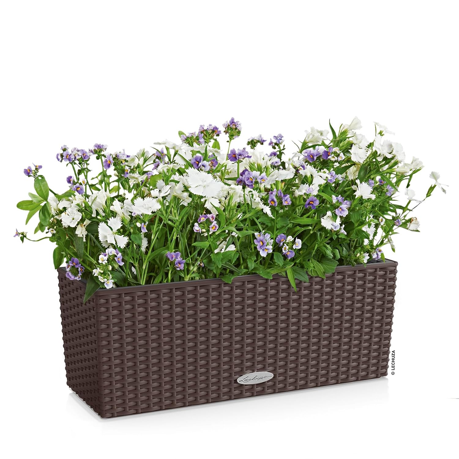 BALCONERA Cottage 50 Mocha, Se - Self Watering Planter review and price