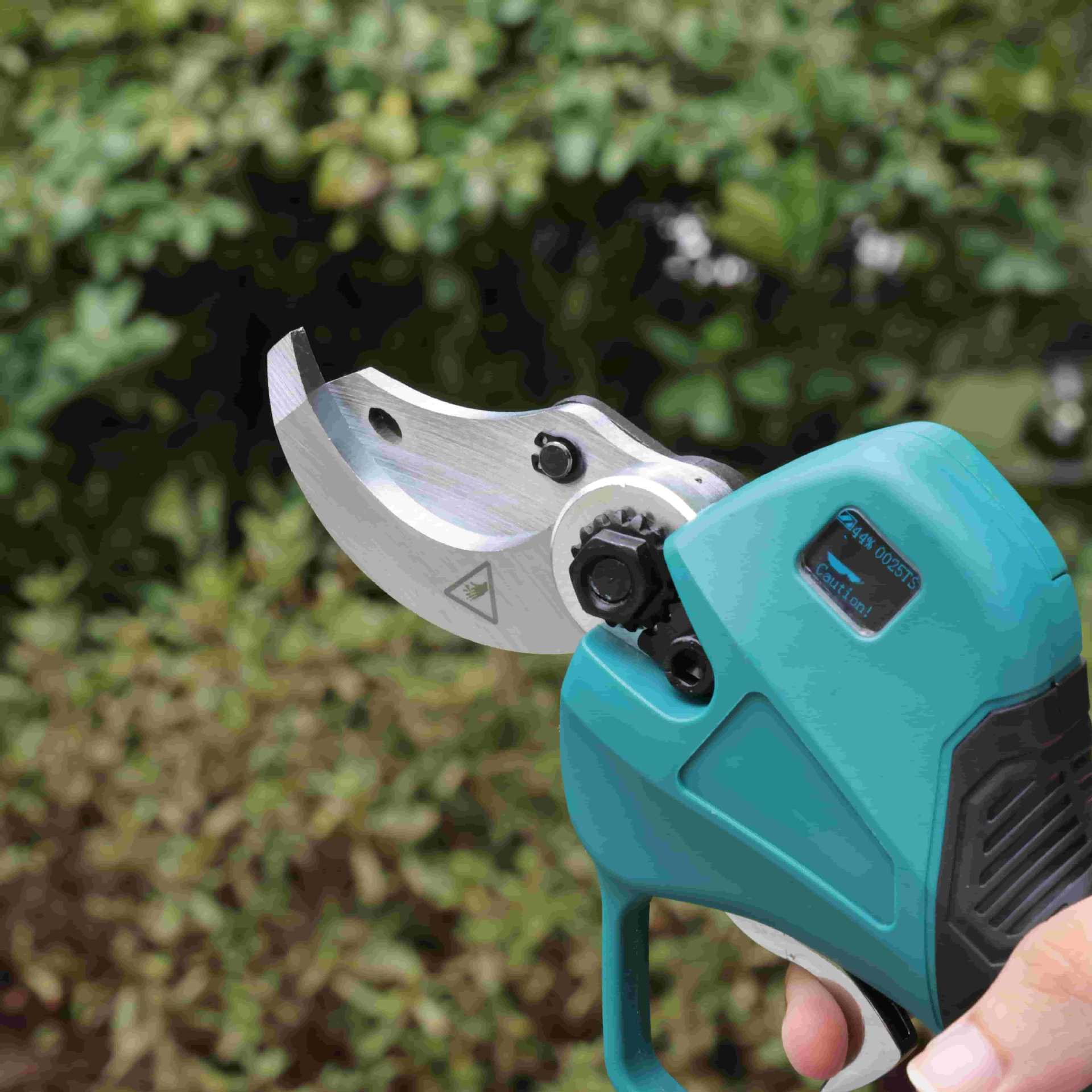 High pole garden pruning shear - Pruning Shears review and price