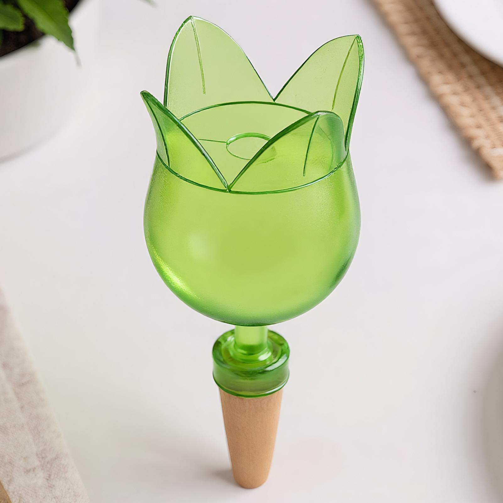 Self Watering Planter Insert A - Self Watering Planter review and price