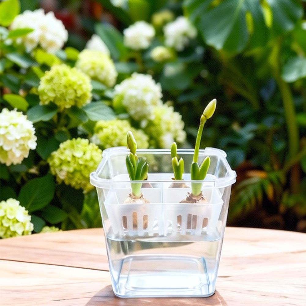 Hydroponic Vase For Tulip Lily - Plant Pot review and price