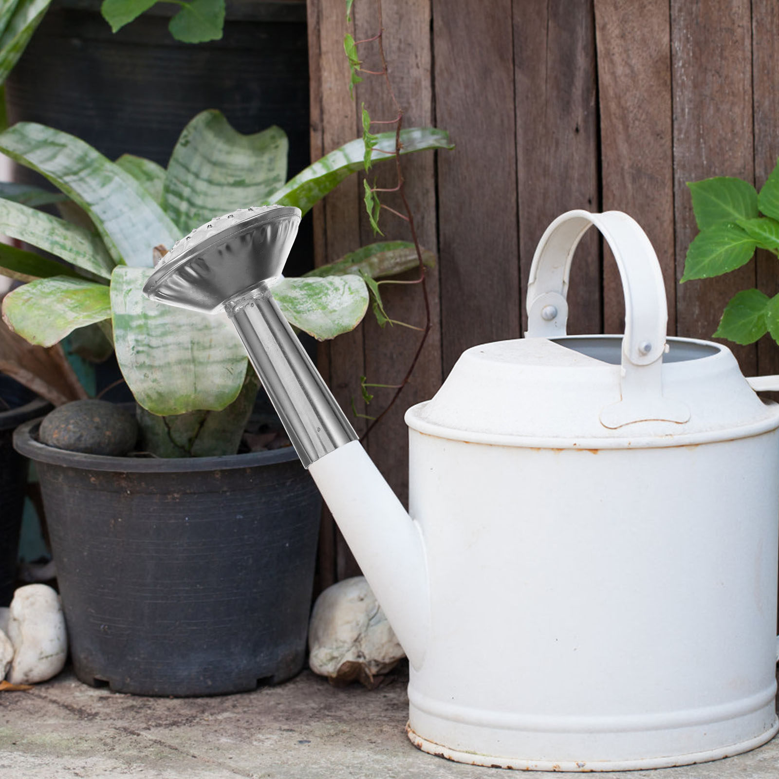 Stainless Steel Watering Can S - Watering Can review and price