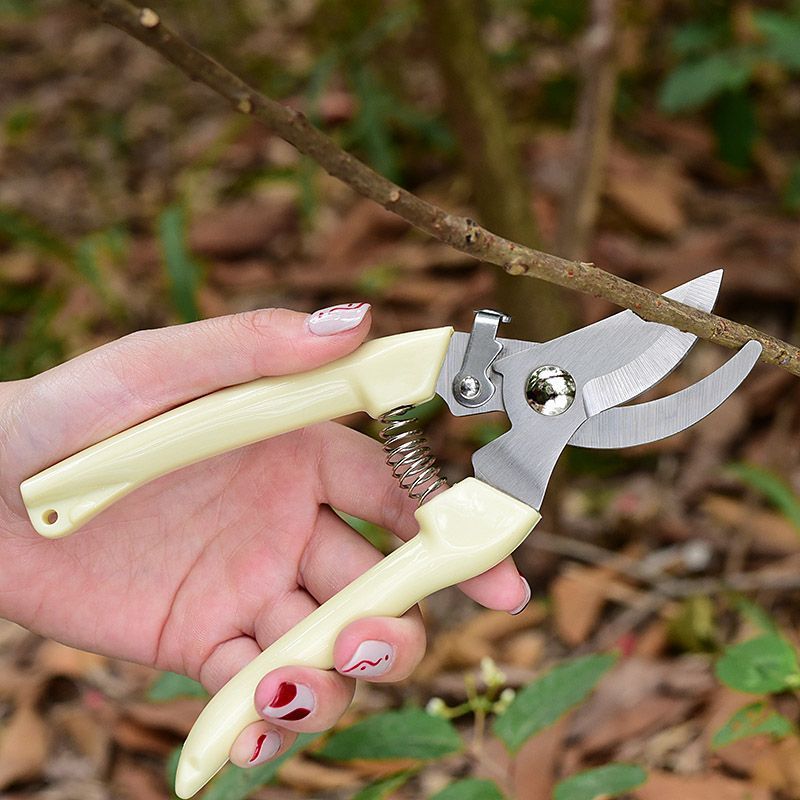 Labor‑Saving Garden Pruning Sh - Pruning Shears review and price