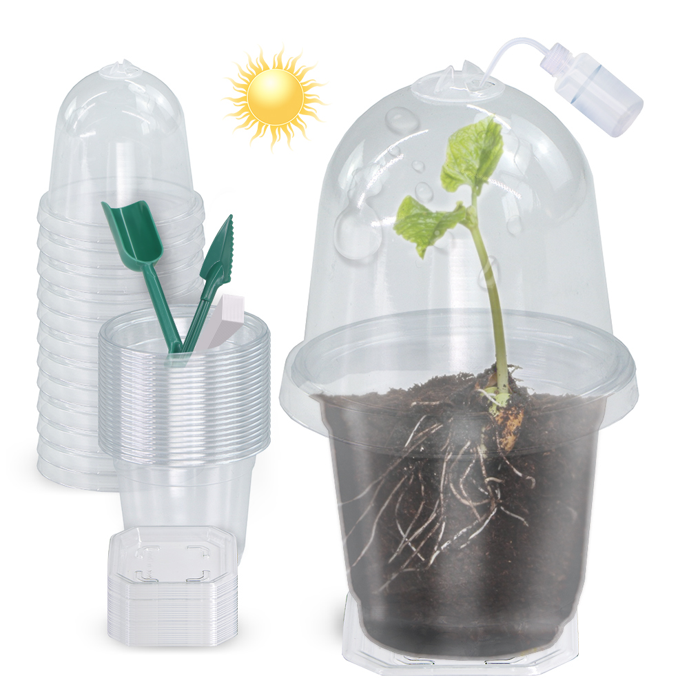 160x90CM Visible Clear Plants  - Seed Starter Tray review and price