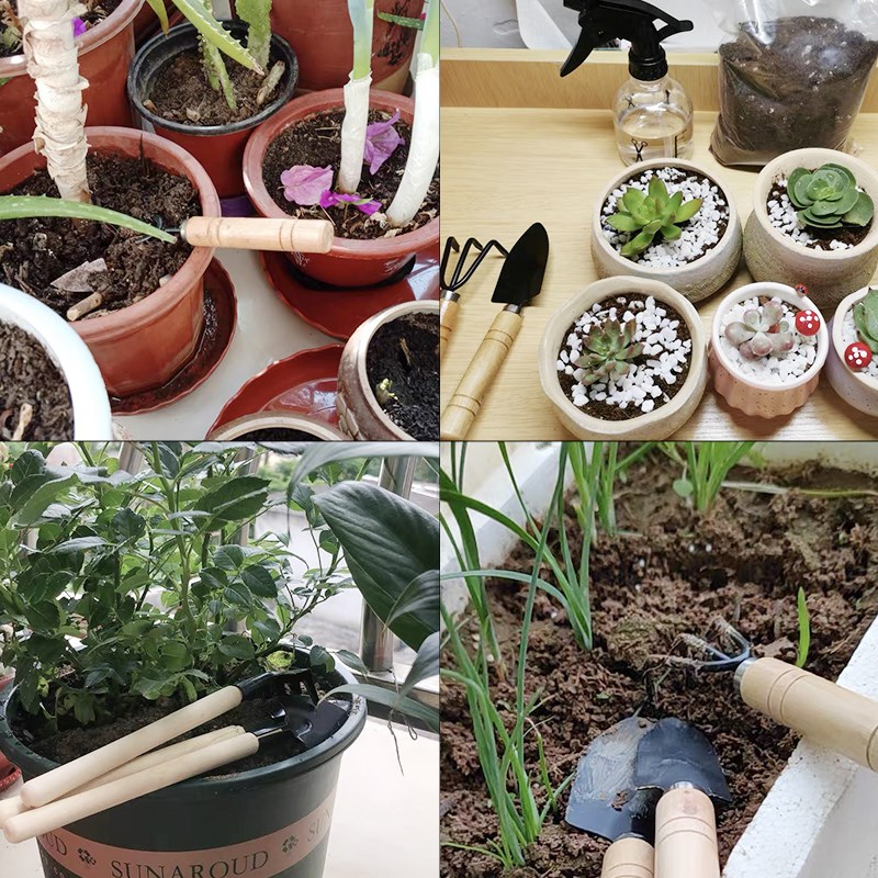 3PC/1Set Mini Gardening Tools  - Indoor Herb Garden review and price