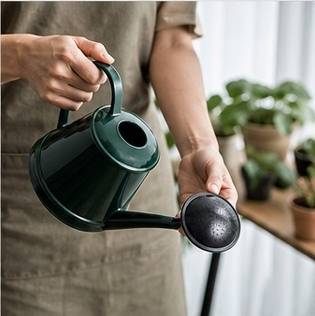 Watering Can Sprinkler Head 6  - Watering Can review and price