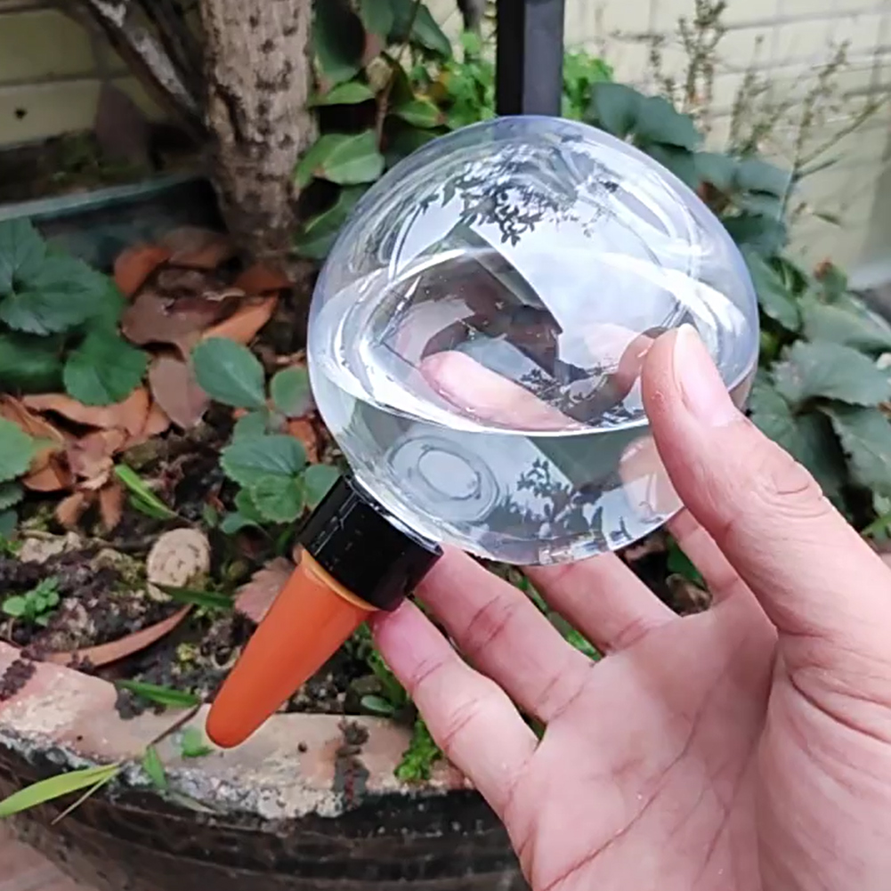 500ML Self Watering Globes Dri - Self Watering Planter review and price