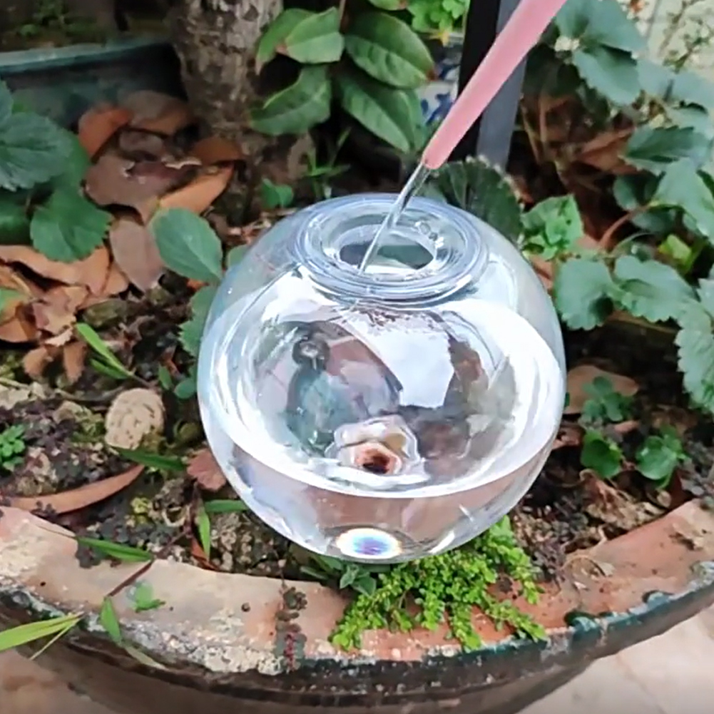 500ML Self Watering Globes Dri - Self Watering Planter review and price