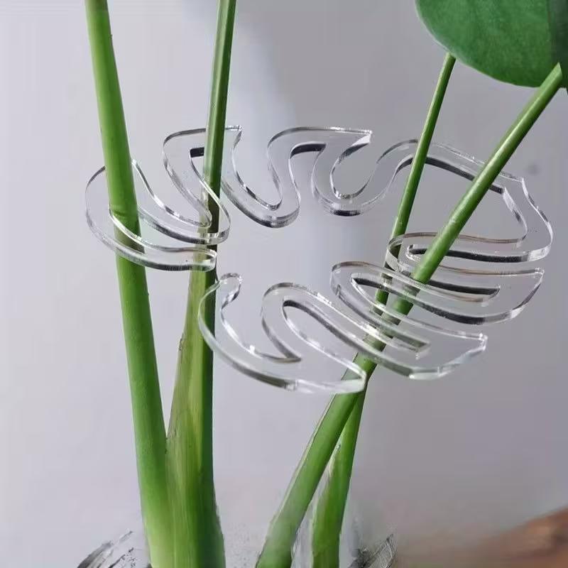 10-Pack Clear Flexible Plant S - Indoor Herb Garden review and price