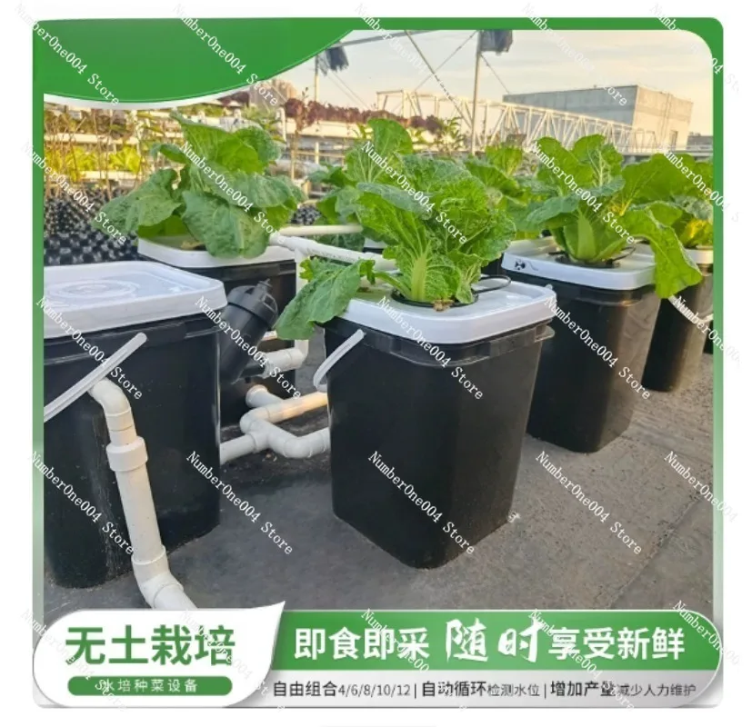 RDWC Home Balcony Hydroponic G - Hydroponic Kit review and price