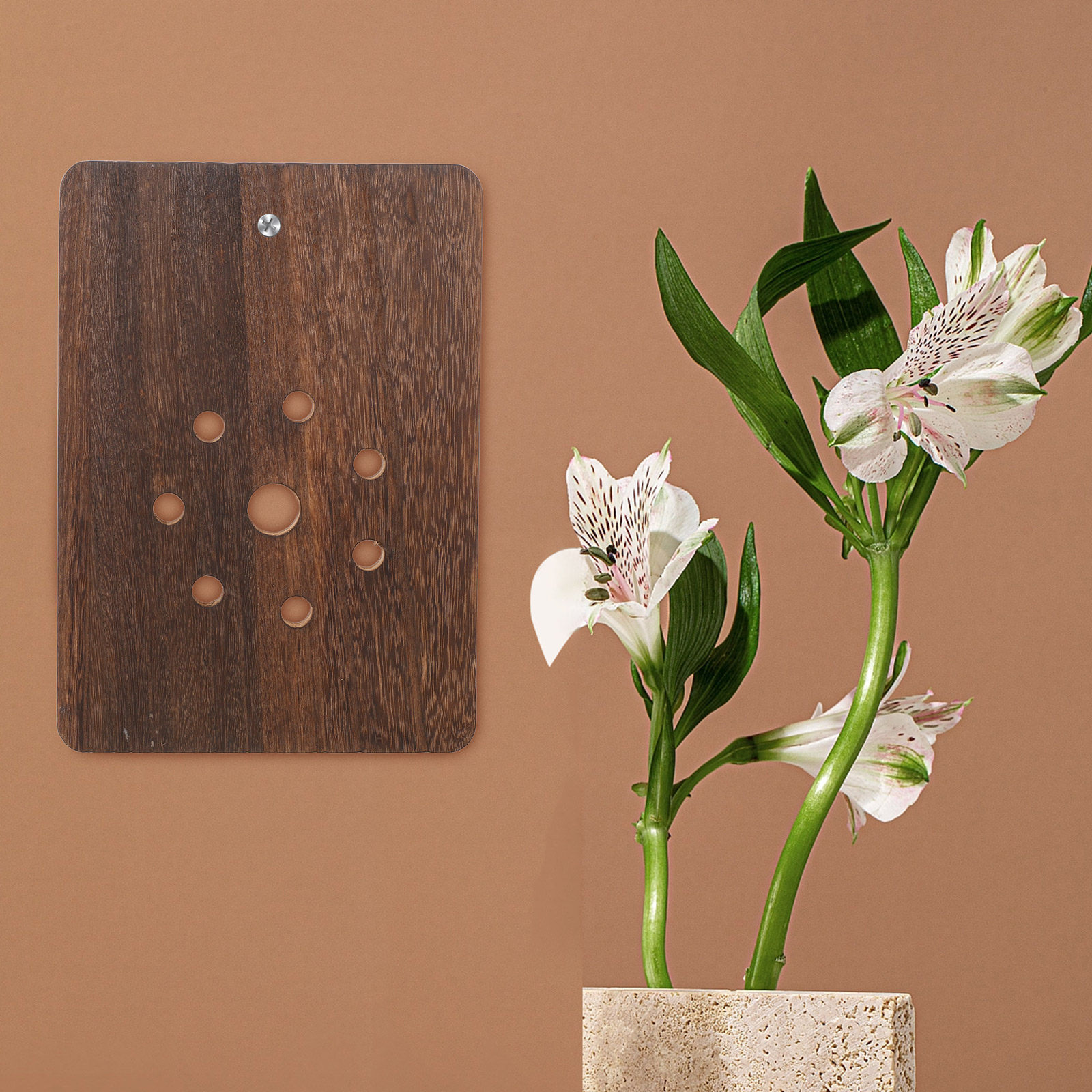 Staghorn Fern Mounting Board S - Vertical Planter review and price