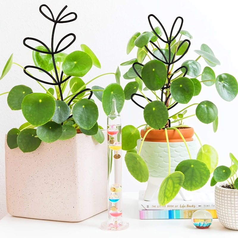 3Pcs Plant Support Frame Climb - Indoor Herb Garden review and price