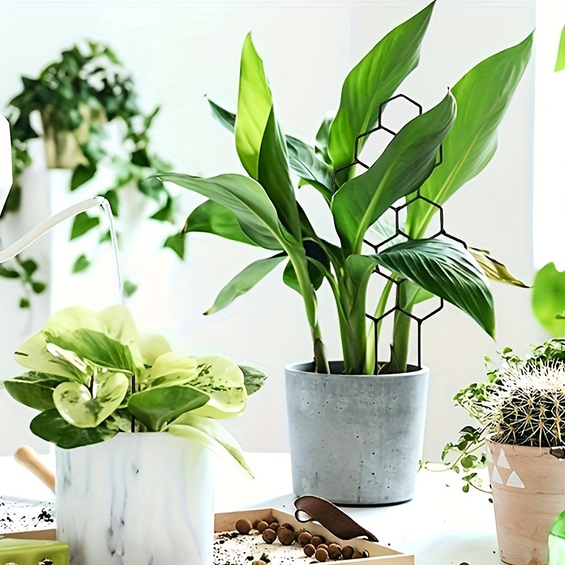 3Pcs Plant Support Frame Climb - Indoor Herb Garden review and price