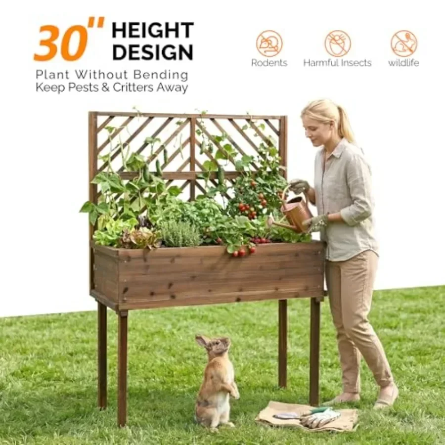 Wooden Raised Garden Bed with  - Raised Garden Bed review and price
