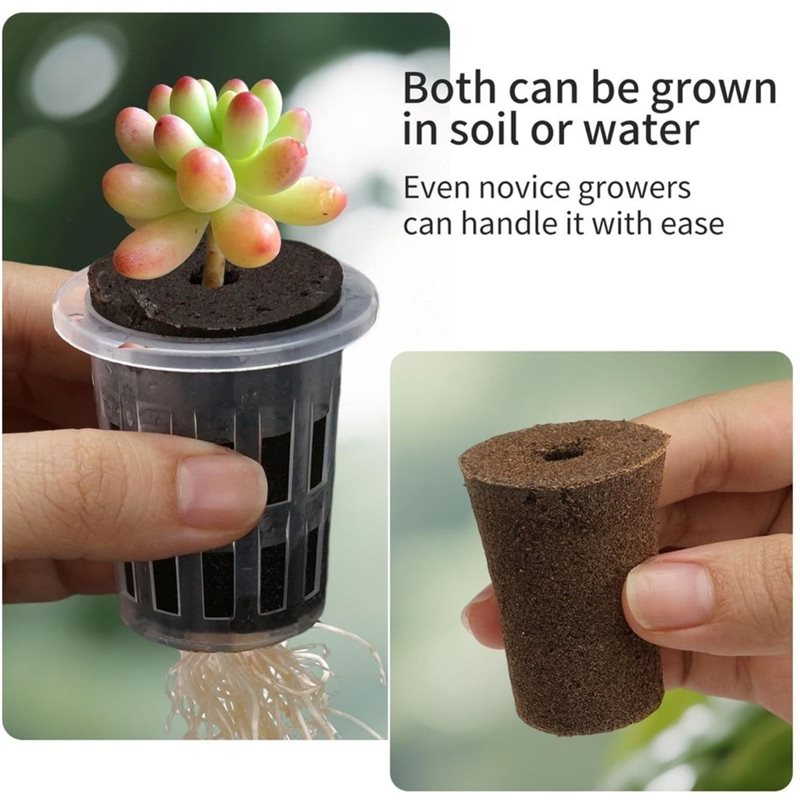 [ABFI!】 Hydroponic Seedling Cu - Hydroponic Kit review and price