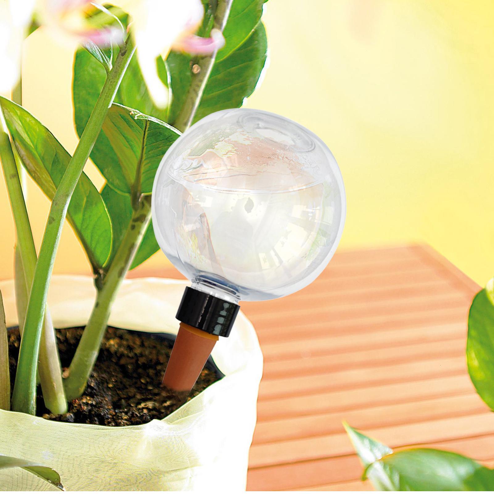 500ml Automatic Plant Watering - Self Watering Planter review and price