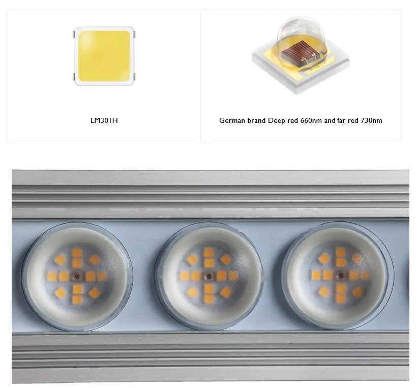 Koray 900W Indoor full spectru - Grow Light Led review and price