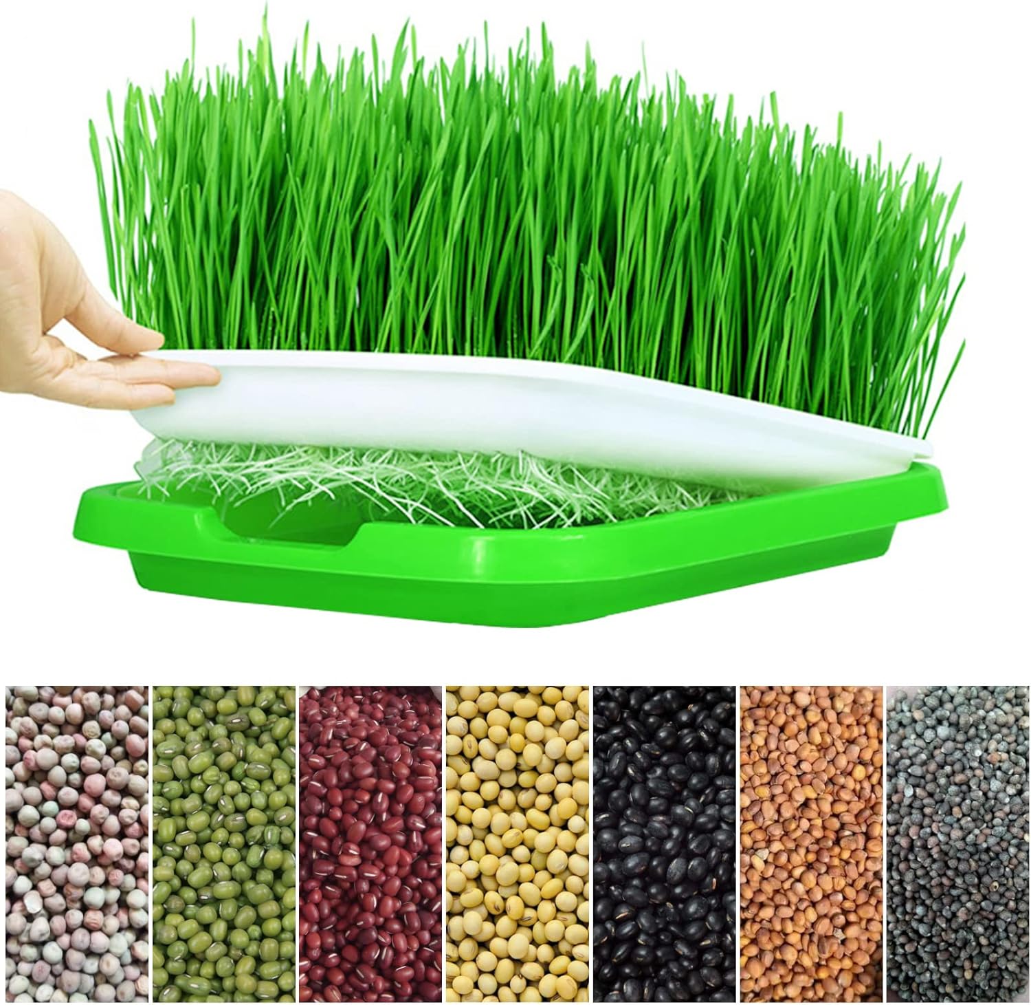 Microgreens Sprouter Tray Hydr - Seed Starter Tray review and price