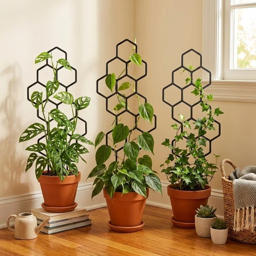 Honeycomb Design Plant Trellis - Indoor Herb Garden review and price